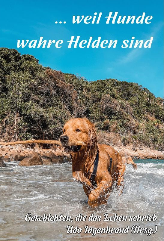 ... weil Hunde wahre Helden sind - Hunde und ihre Geschichten: Ein inspirierendes Buch über unsere treuen Begleiter - Papierfresserchens MTM-Verlag