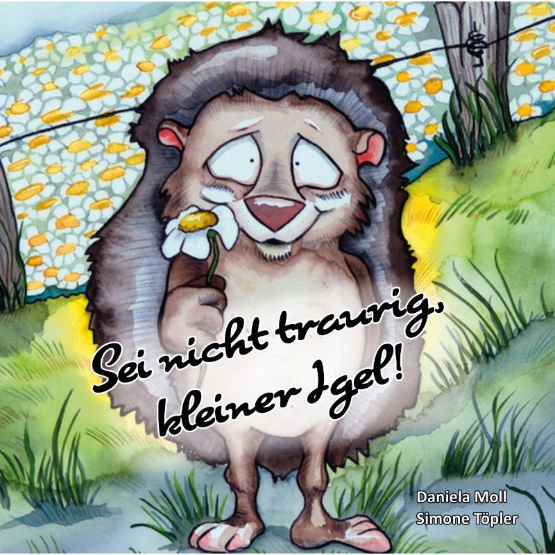 Sei nicht traurig, kleiner Igel!