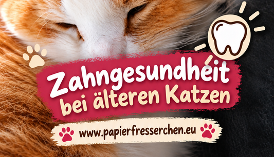 Werbebild mit Sammy zum Thema Zahnhygiene bei Katzen