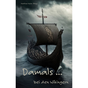 Damals bei den Wikingern