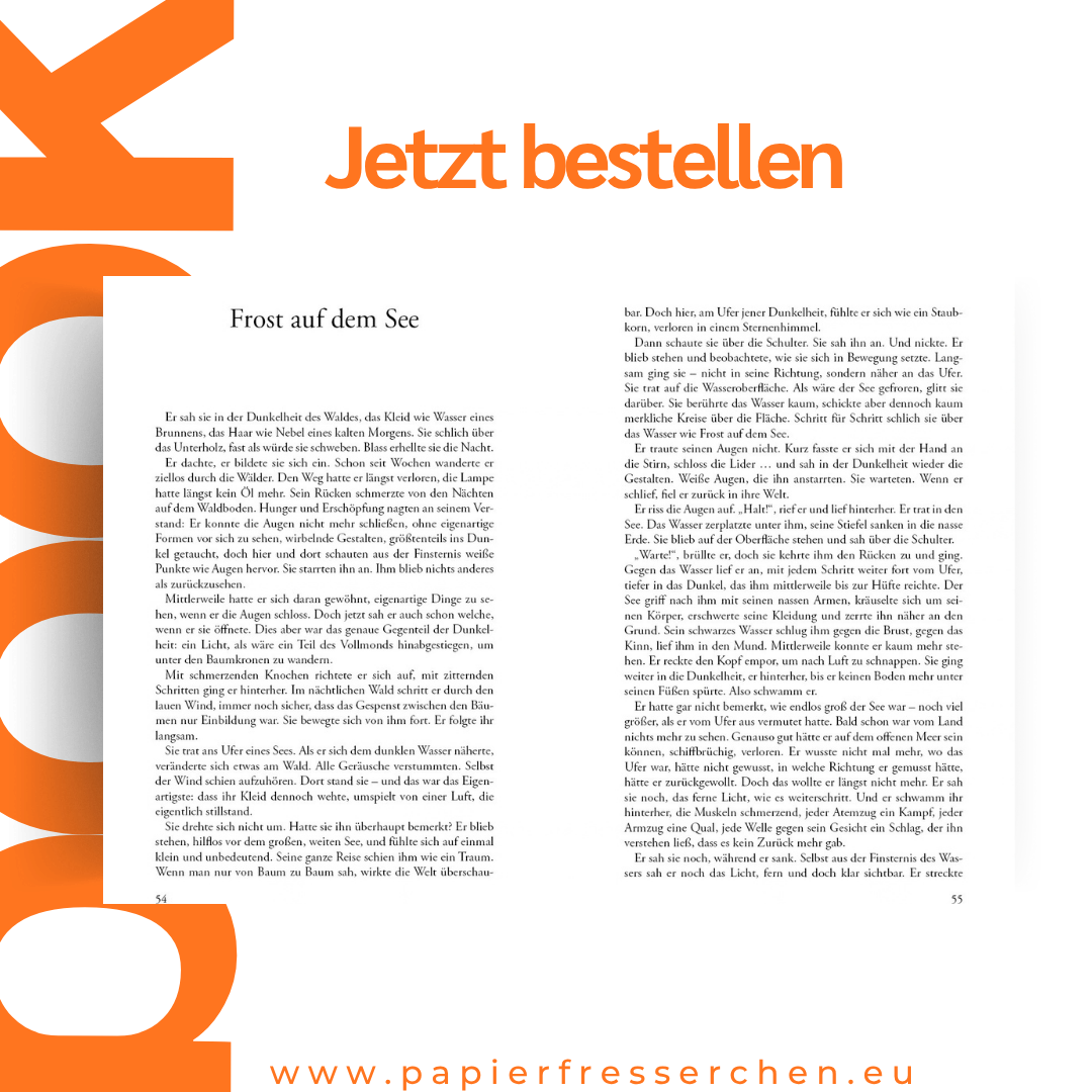 Irrlichter – Geschichten aus dem Land der Fantasie – Band 5