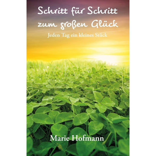 Cover des Buches „Schritt für Schritt zum großen Glück“ – Papierfresserchens MTM-Verlag