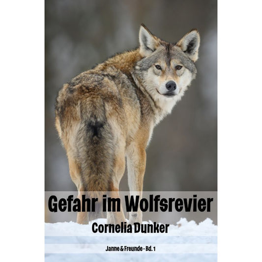 Cover des Kinderbuchs „Bd. 2 Gefahr im Wolfsrevier“ – Papierfresserchens MTM-Verlag