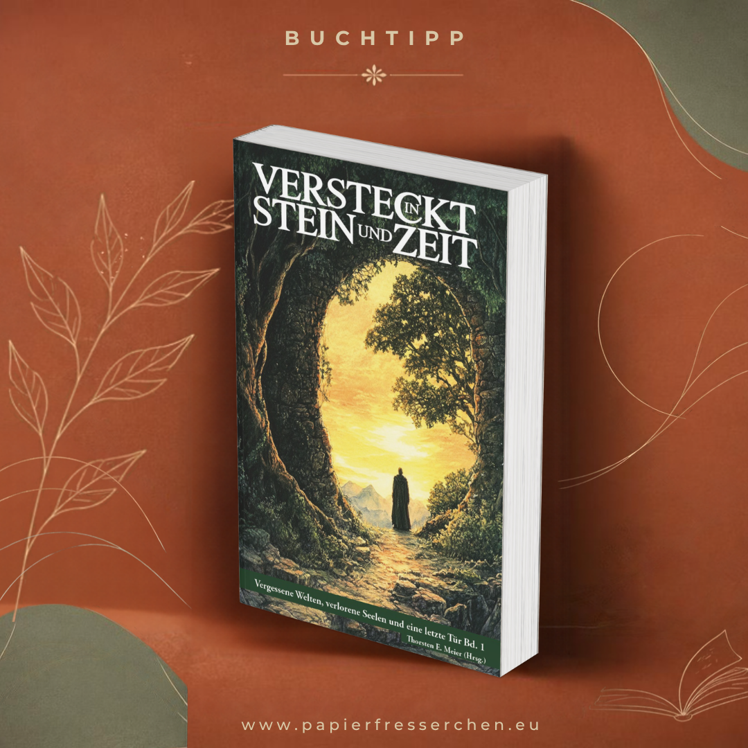 Versteckt in Stein und Zeit Anthologie Band 1