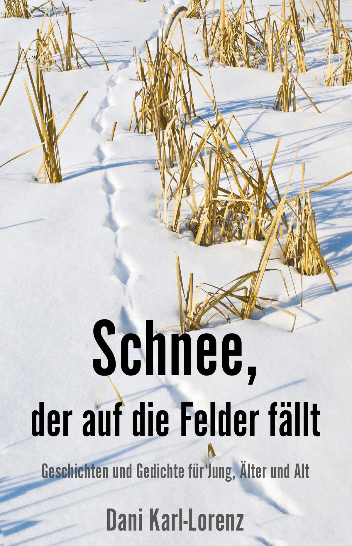 Schnee, der auf die Felder fällt - Papierfresserchens MTM-Verlag