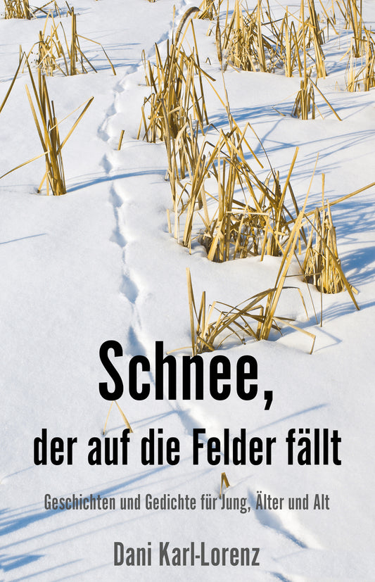 Schnee, der auf die Felder fällt - Papierfresserchens MTM-Verlag